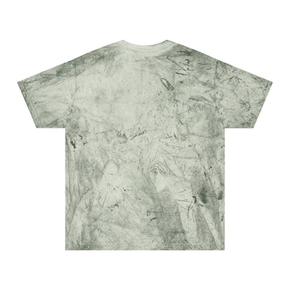 It's a Good Day to Dye - Unisex Color Blast T-Shirt - Poodle Dog Skull